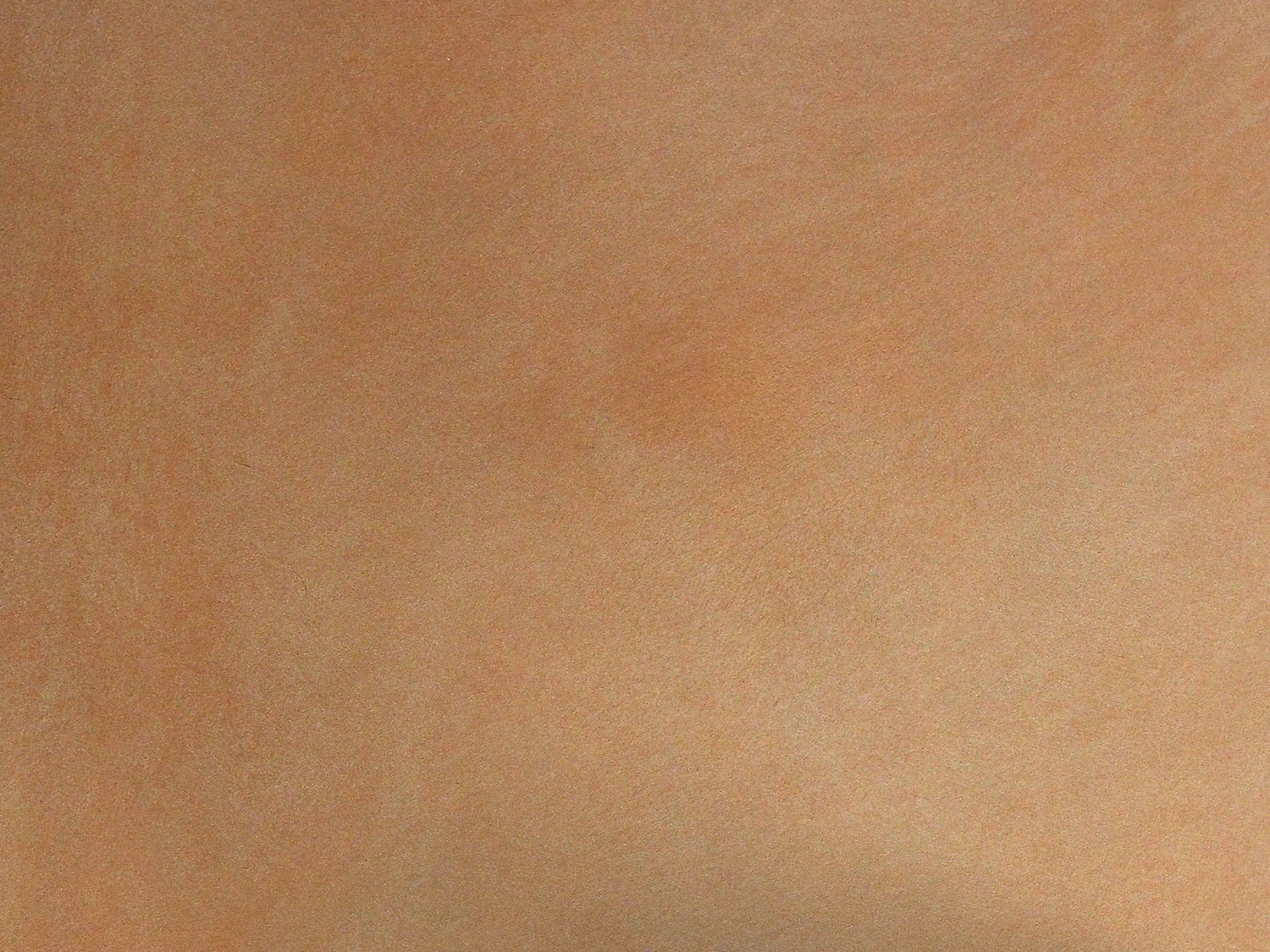 nappa-classic-decorative-paint-stucco-italiano